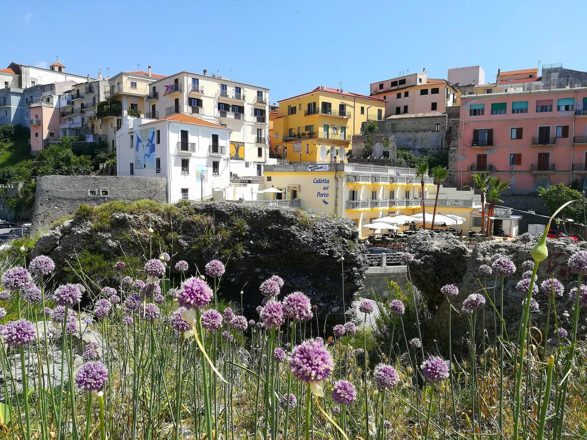 Caletta Del Porto Bed & Breakfast Diamante Bagian luar foto