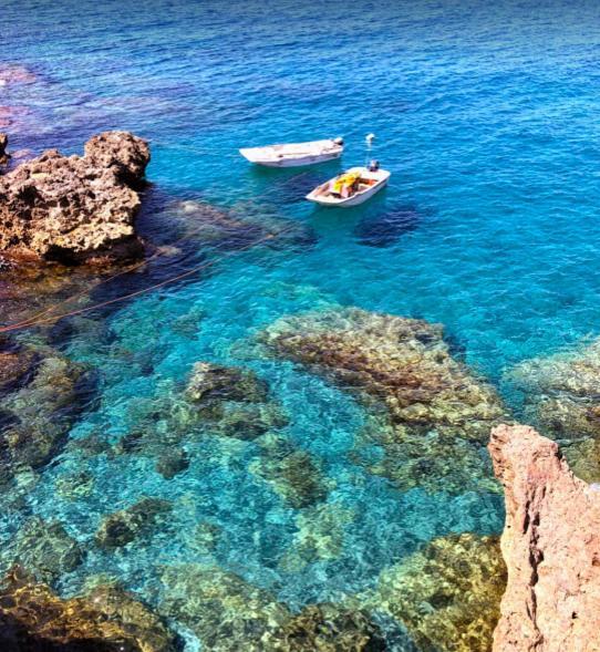 Caletta Del Porto Bed & Breakfast Diamante Bagian luar foto